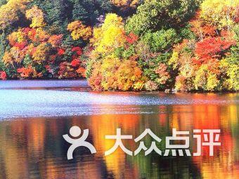 哈姆:火箭也有三巨头,申京&范弗里特&杰伦-格林