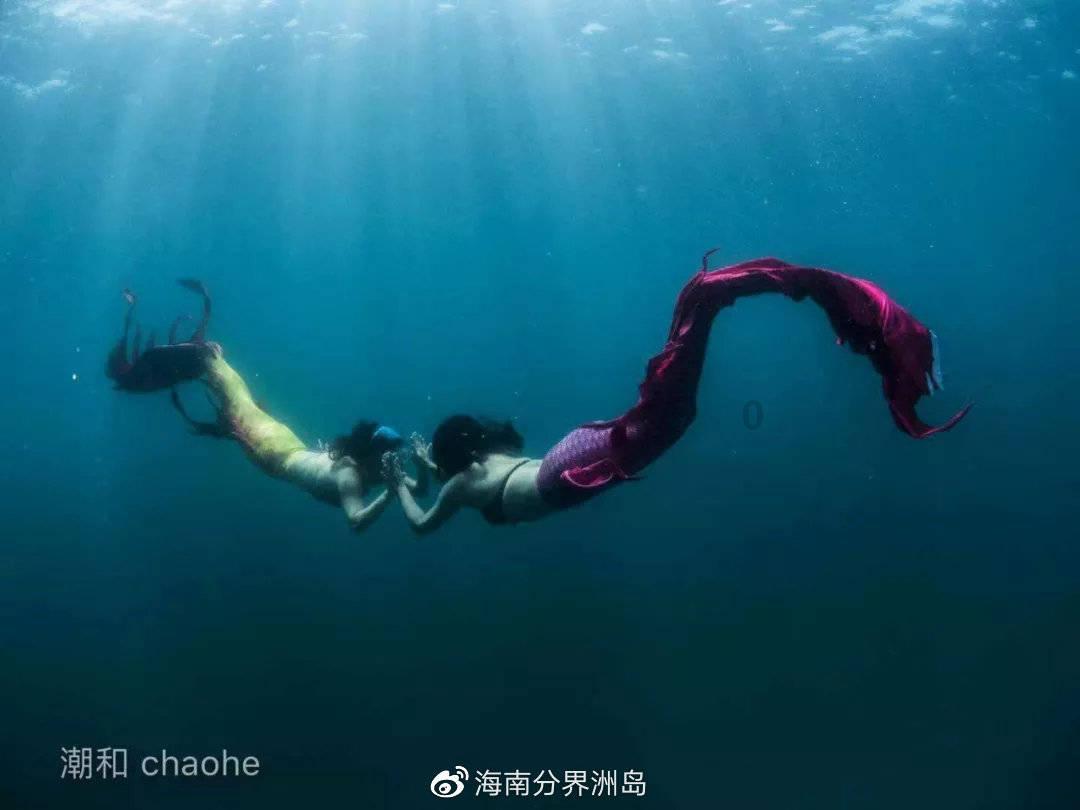【冬春行动】深挖团伙不漏人 守好群众“钱袋子”
