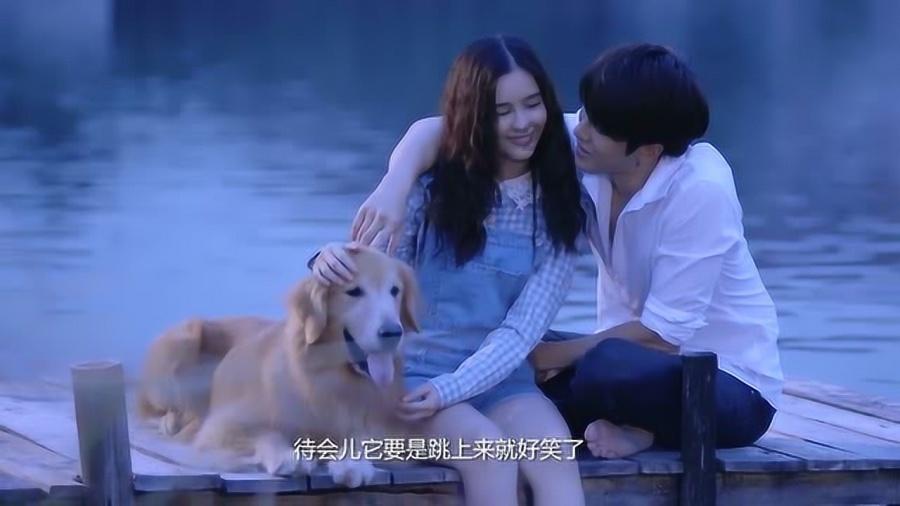 植物大战僵尸：花园战争