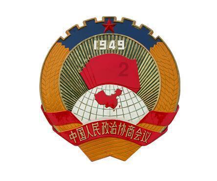 救援男孩与狗