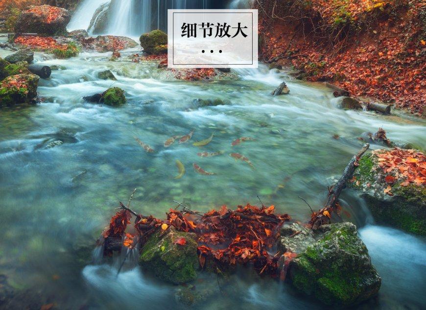 ETC电子标签出现异常,怎么办?高速行ETC